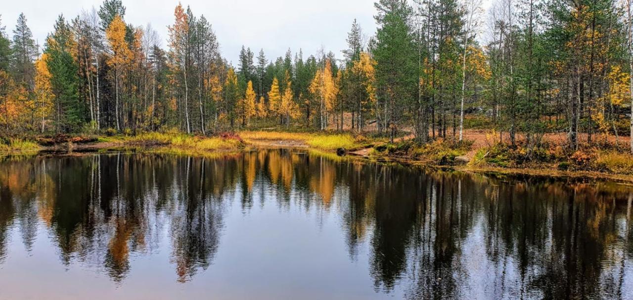 Cozy Log Cabin By Invisible Forest Lodge Rovaniemi Eksteriør bilde