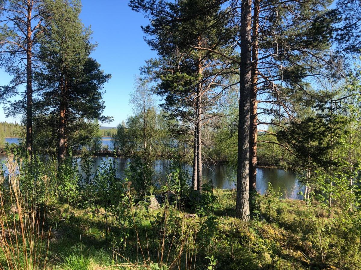 Cozy Log Cabin By Invisible Forest Lodge Rovaniemi Eksteriør bilde