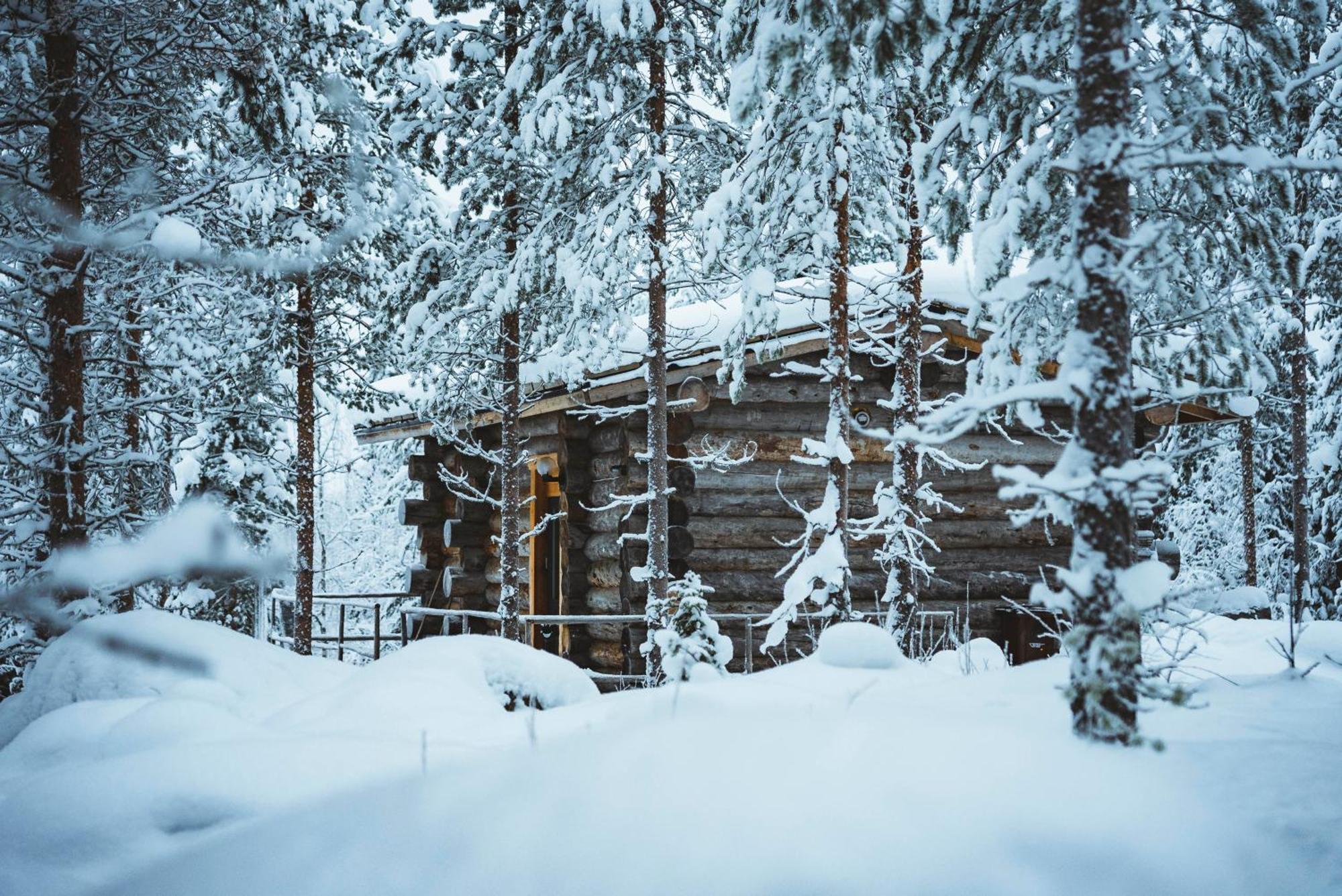 Cozy Log Cabin By Invisible Forest Lodge Rovaniemi Eksteriør bilde